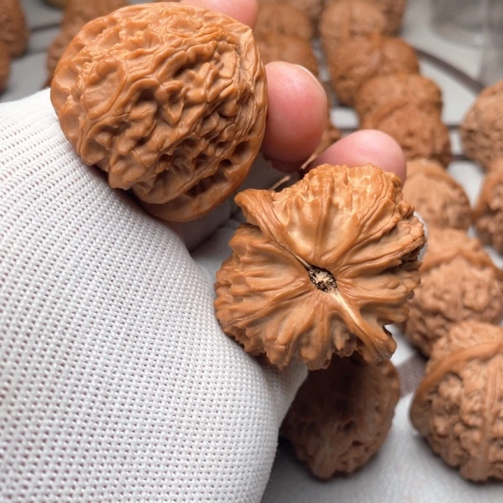 核桃手串/手链G*.糖三角白44