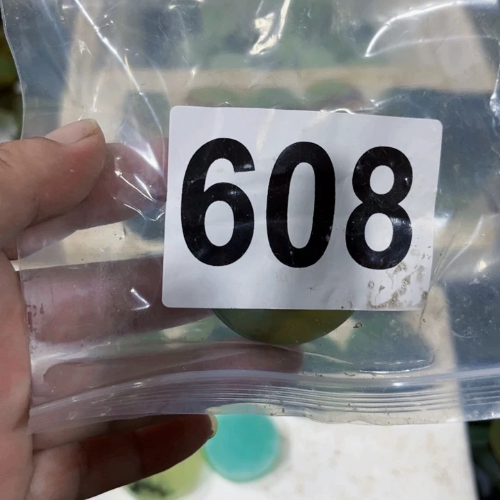 未镶嵌蛇纹石玉珠宝半成品