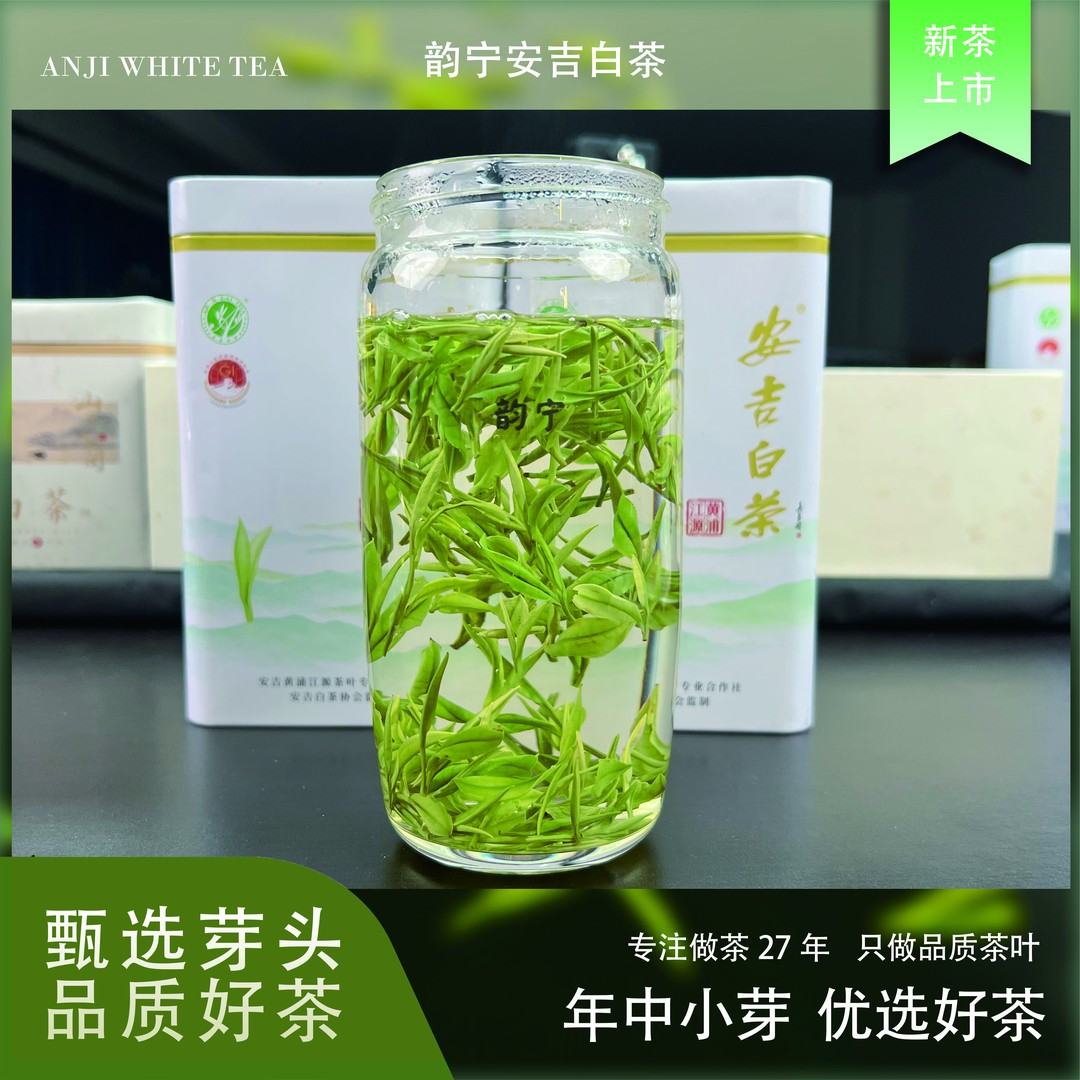 【年中特惠】2025新茶明前安吉白茶昆铜核心产区兰花香春茶自饮茶礼
