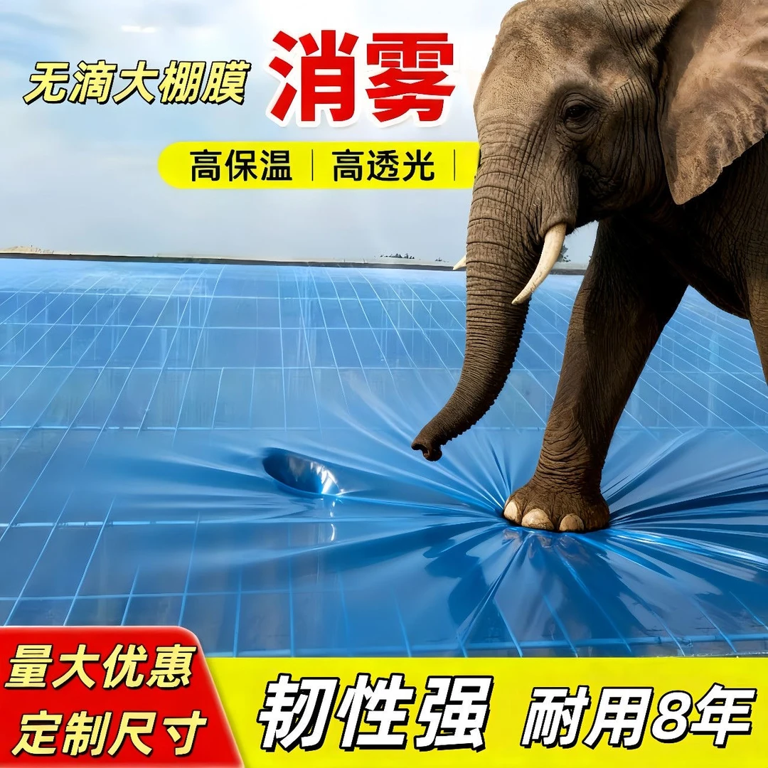 定制专拍加厚塑料大棚膜PO膜无滴膜黑白膜透明膜大棚塑料膜