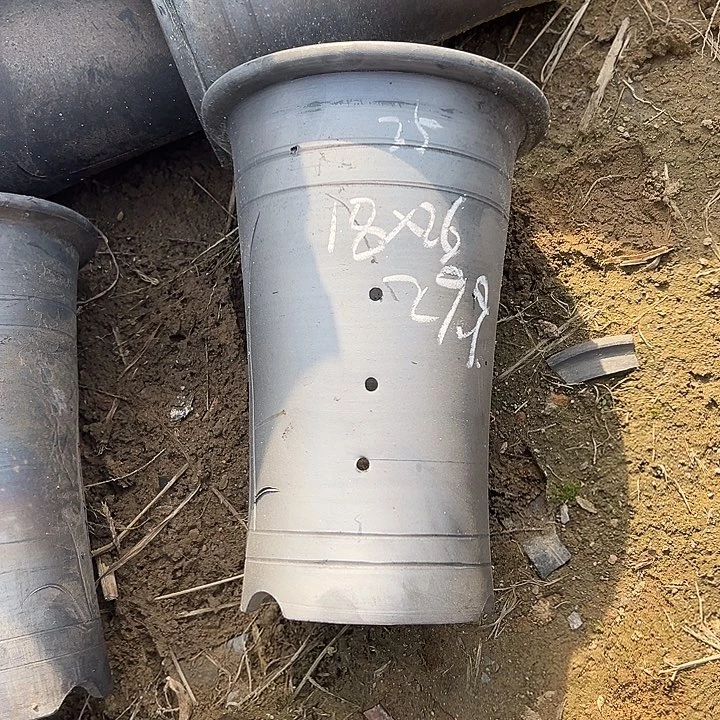 放漏直筒口径18高度26