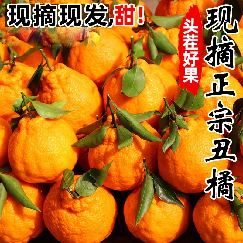 高山丑橘子丑桔水果新鲜应季时令水果酸甜多汁皮薄整箱