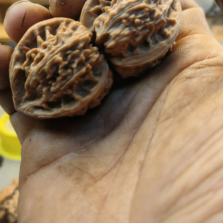 日***辉木质类玉龙粗筋三棱核桃40尺寸