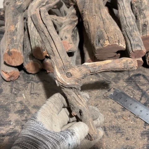 大果紫檀（缅甸花梨）盯*喵