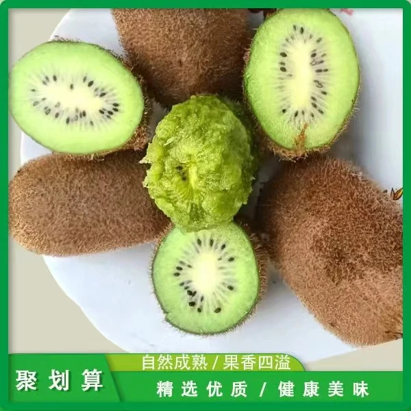 正宗农自种修文贵长猕猴桃新鲜现摘水果绿心高维C中果包邮