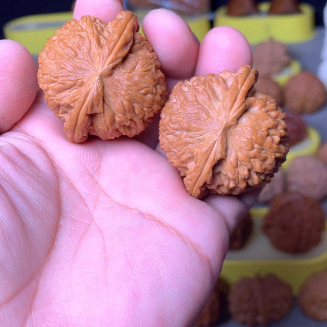 大叶紫檀（黑酸枝木类）闷白