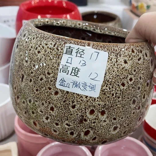 多肉绿植陶瓷花盆9.9包邮，有孔