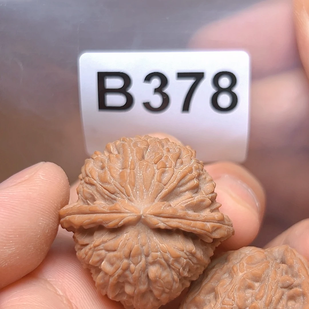 文玩核桃吊坠35白狮子