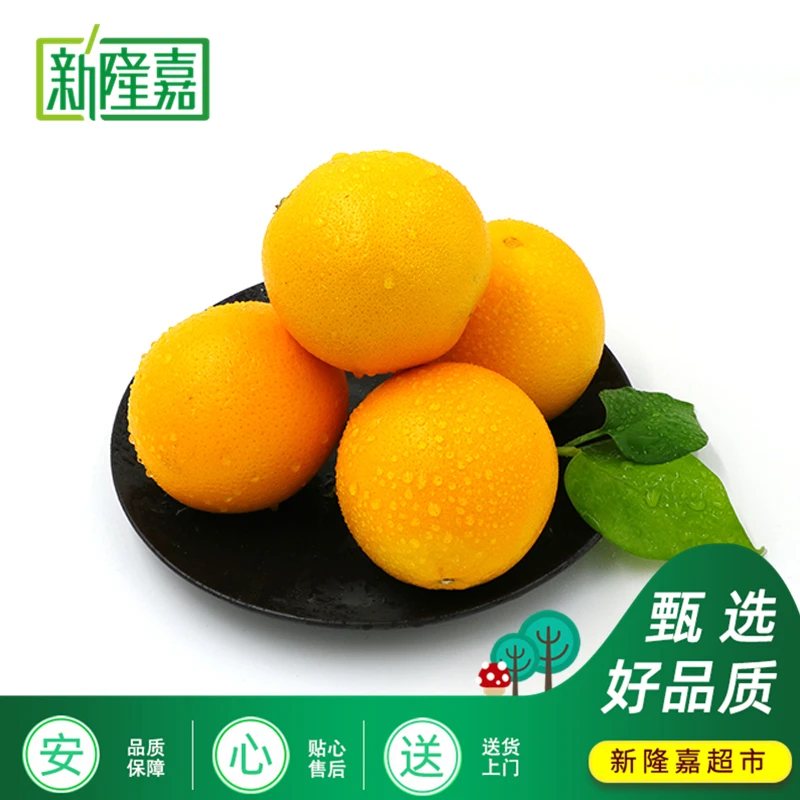 【嘉选】伦晚橙子  约900-1000g