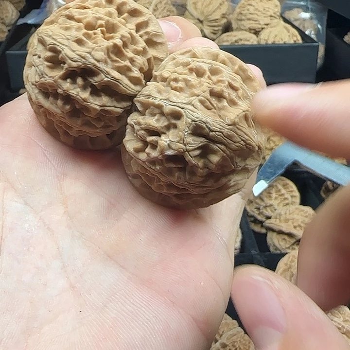 骐***骥吊坠龙脊菩提啊啊啊啊啊啊宫灯5