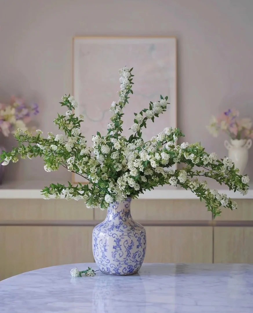 小手球】云南斗南基地现采现发高端居家氛围花材超长花期小众花材