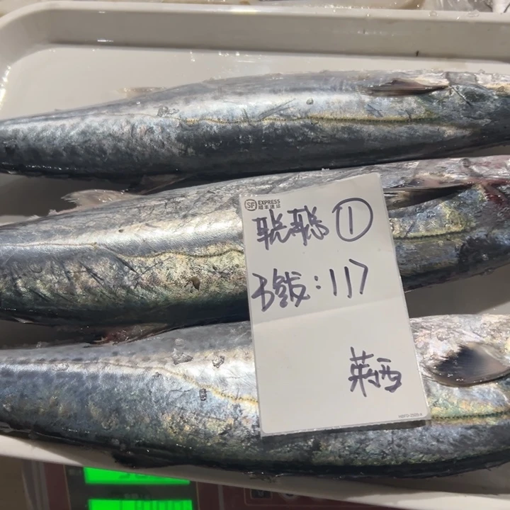 中国大陆鲅鱼3条莱西