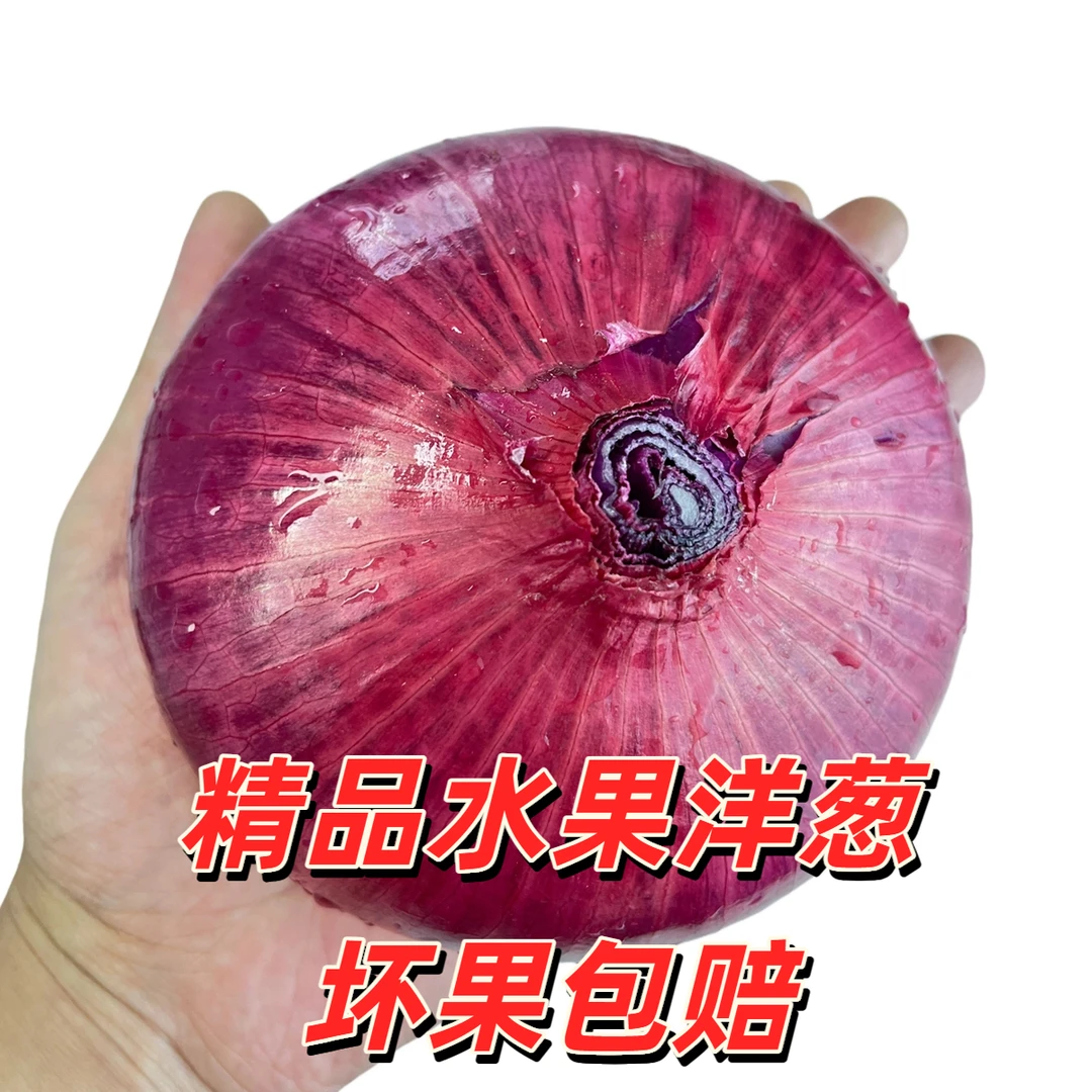【精品水果洋葱】山东正宗新鲜水果扁葱蔬菜皇后可生吃微甜扁洋葱