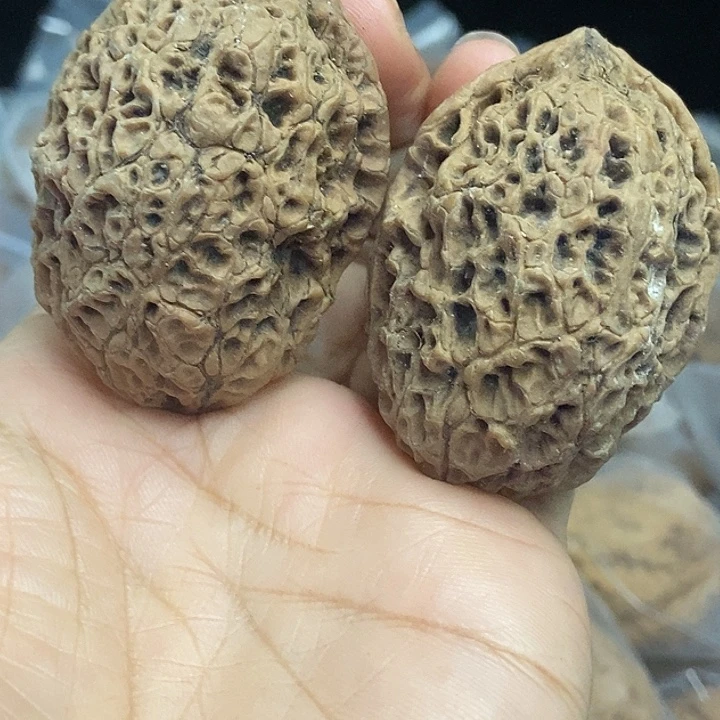 木质类云南铁核桃基地62