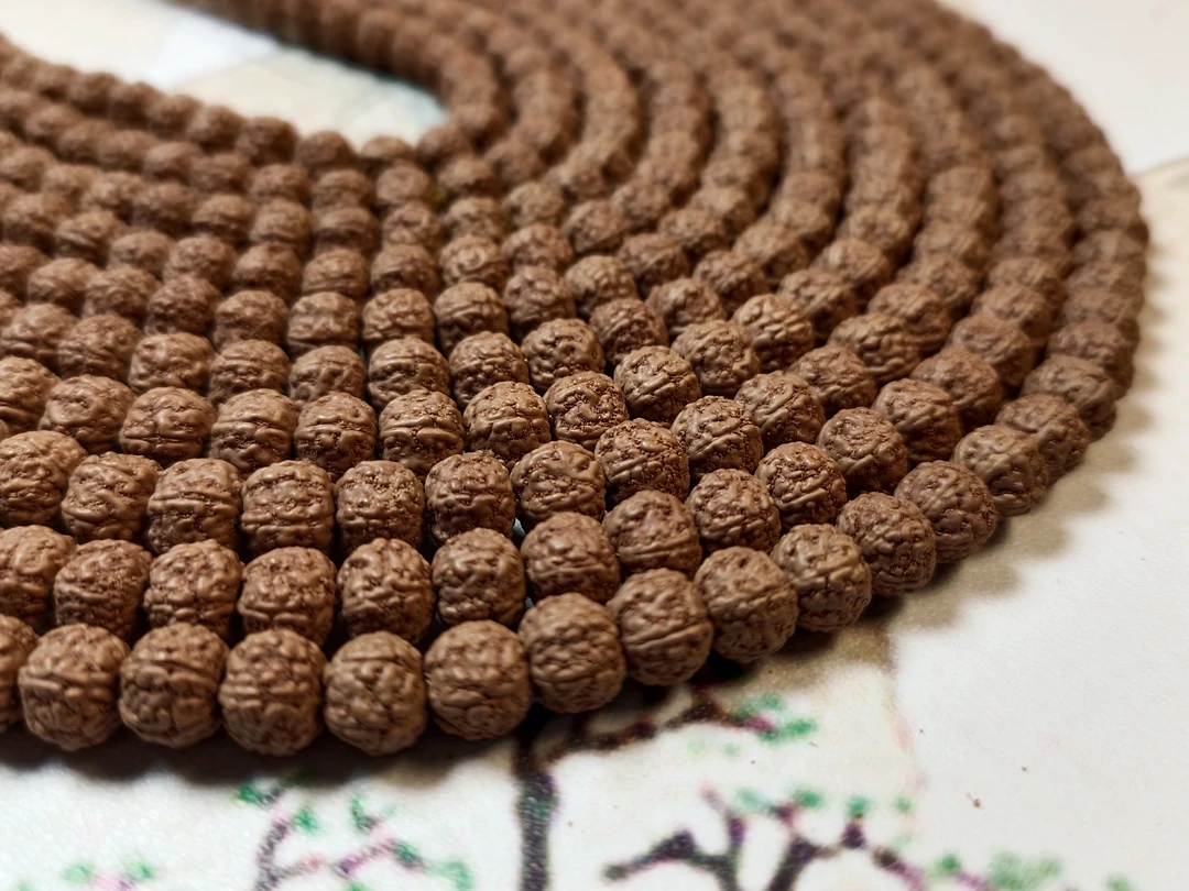 690*原生态原桩一代龙尺寸5-7+钢丝刷