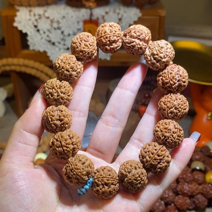 金刚菩提手串195原籽五爪金龙粗筋满肉一物