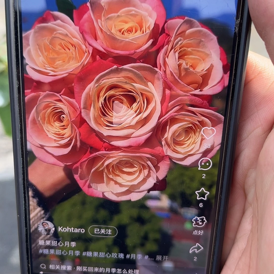 无花朵———糖果甜心 福利款