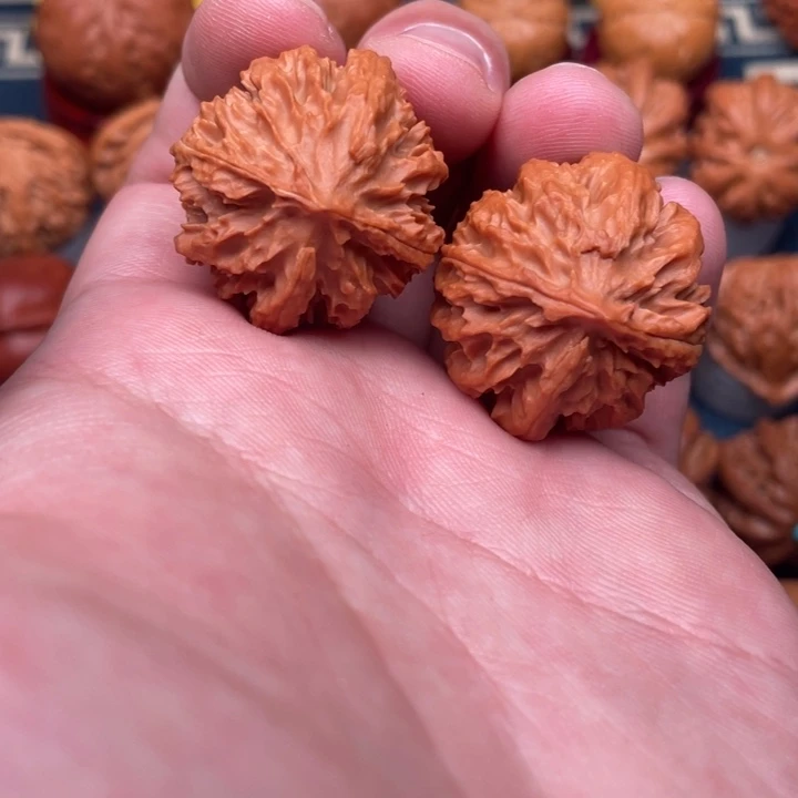 文玩核桃把件暴龙