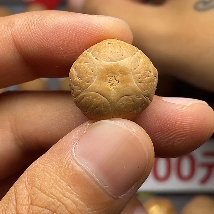 手串凤眼菩提打孔不退不换