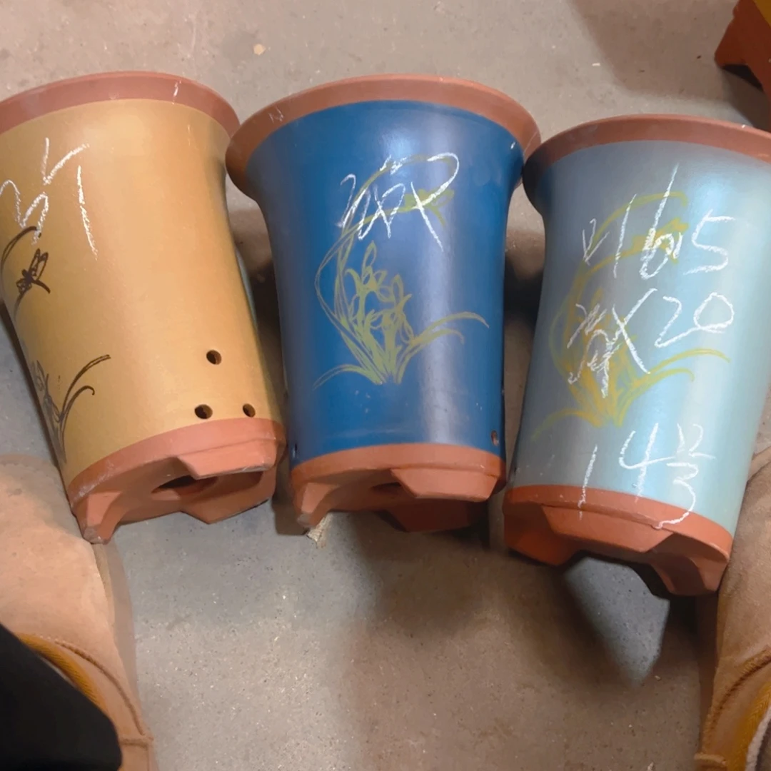 紫砂14………………………………