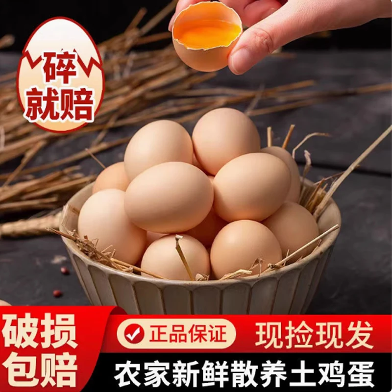 印智农业散养土鸡蛋农家生鲜正宗土鸡蛋柴鸡蛋谷物蛋笨鸡蛋40-50g