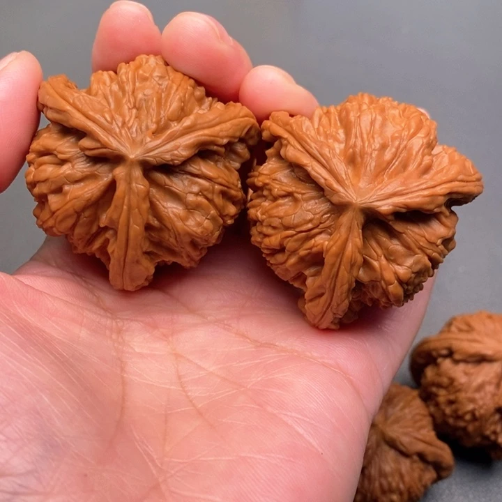 木质类夏**秋核桃核桃