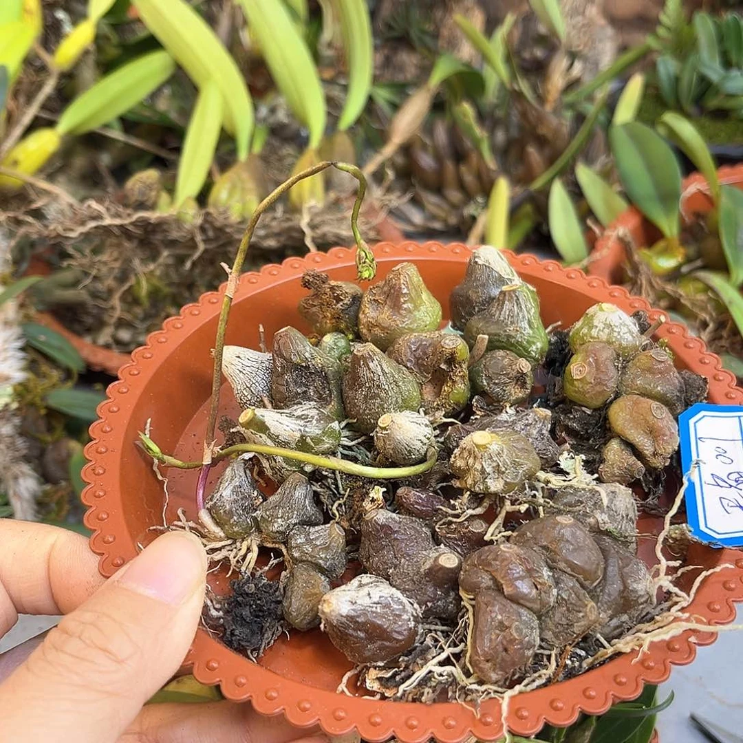 王***138。。。。。。。。。。。。。