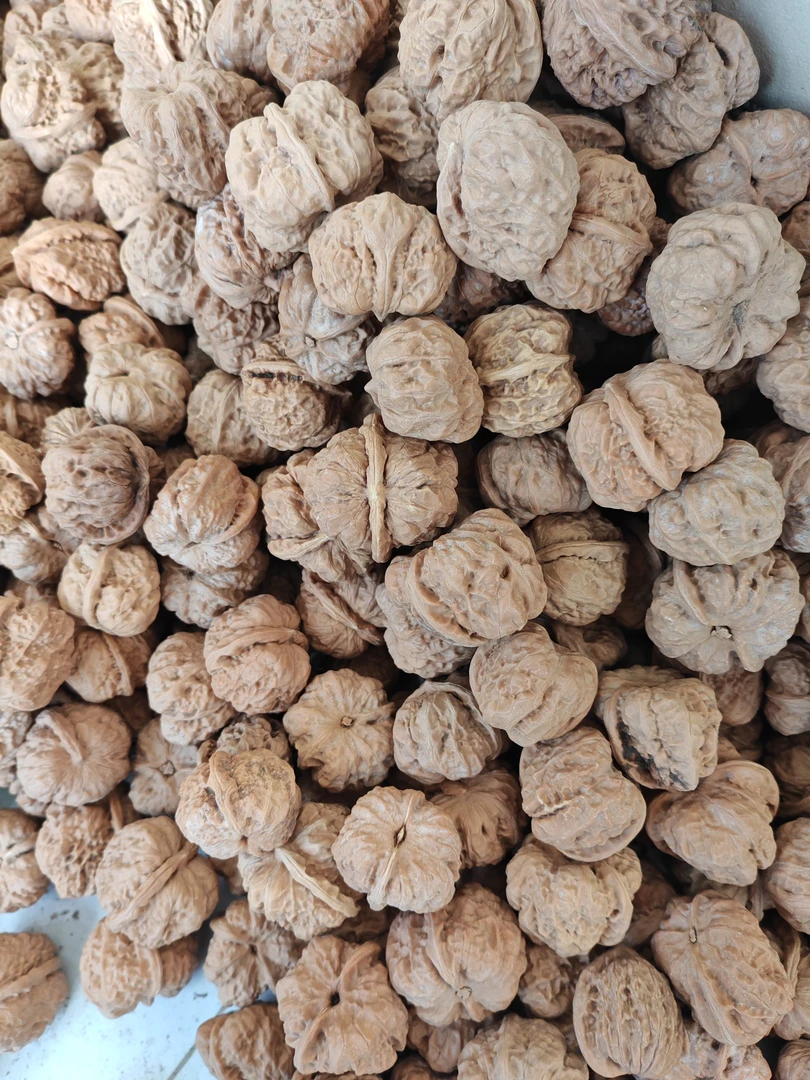 文玩核桃散货白尖花皮蛤蟆头散货