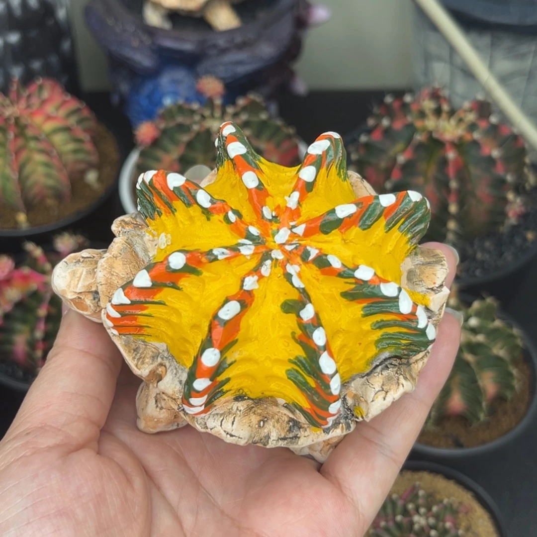 泰系手工制作米哈锦