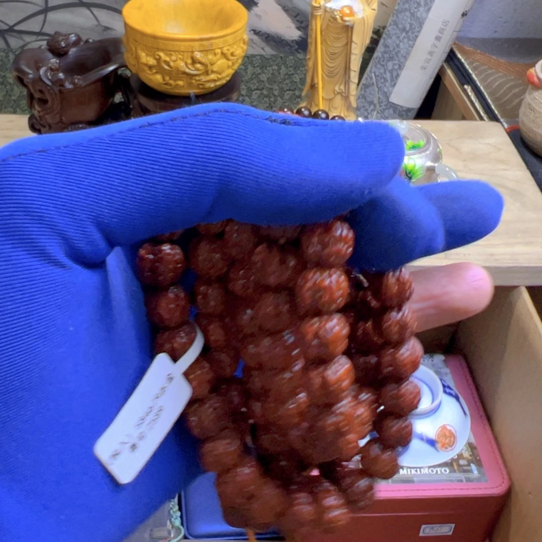 茶宠哈哈哈哈哈哈哈哈哈