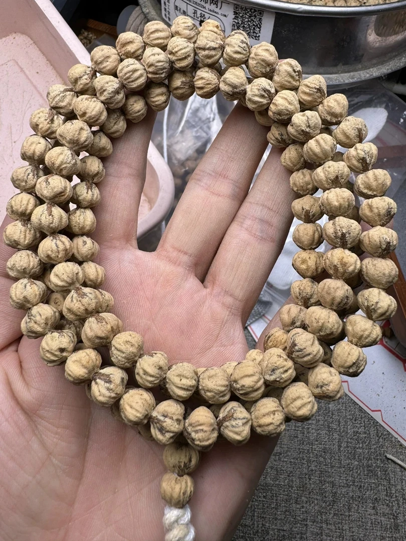 西藏热振寺百香籽10.2原桩大飞碟UFO10.2mm莲花桩飞碟矮桩