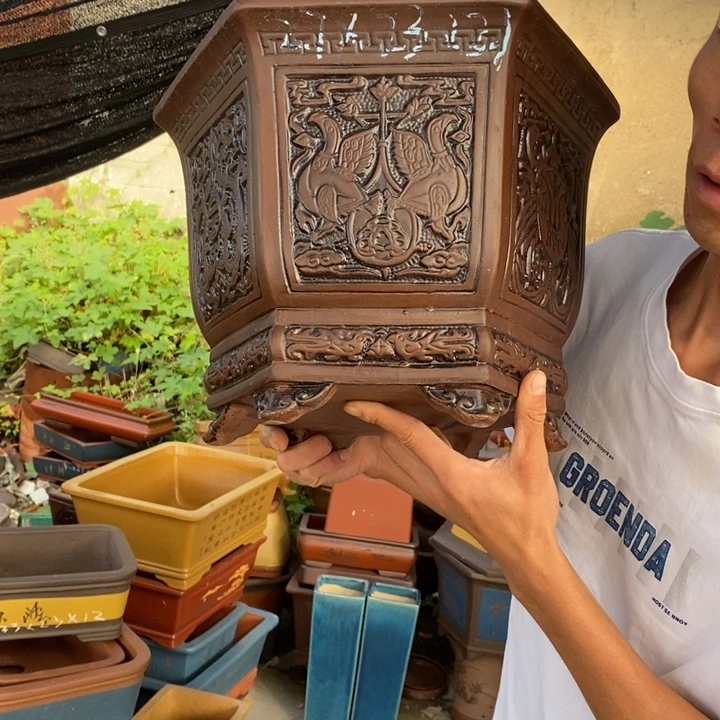 花盆紫砂没有什么不可以的