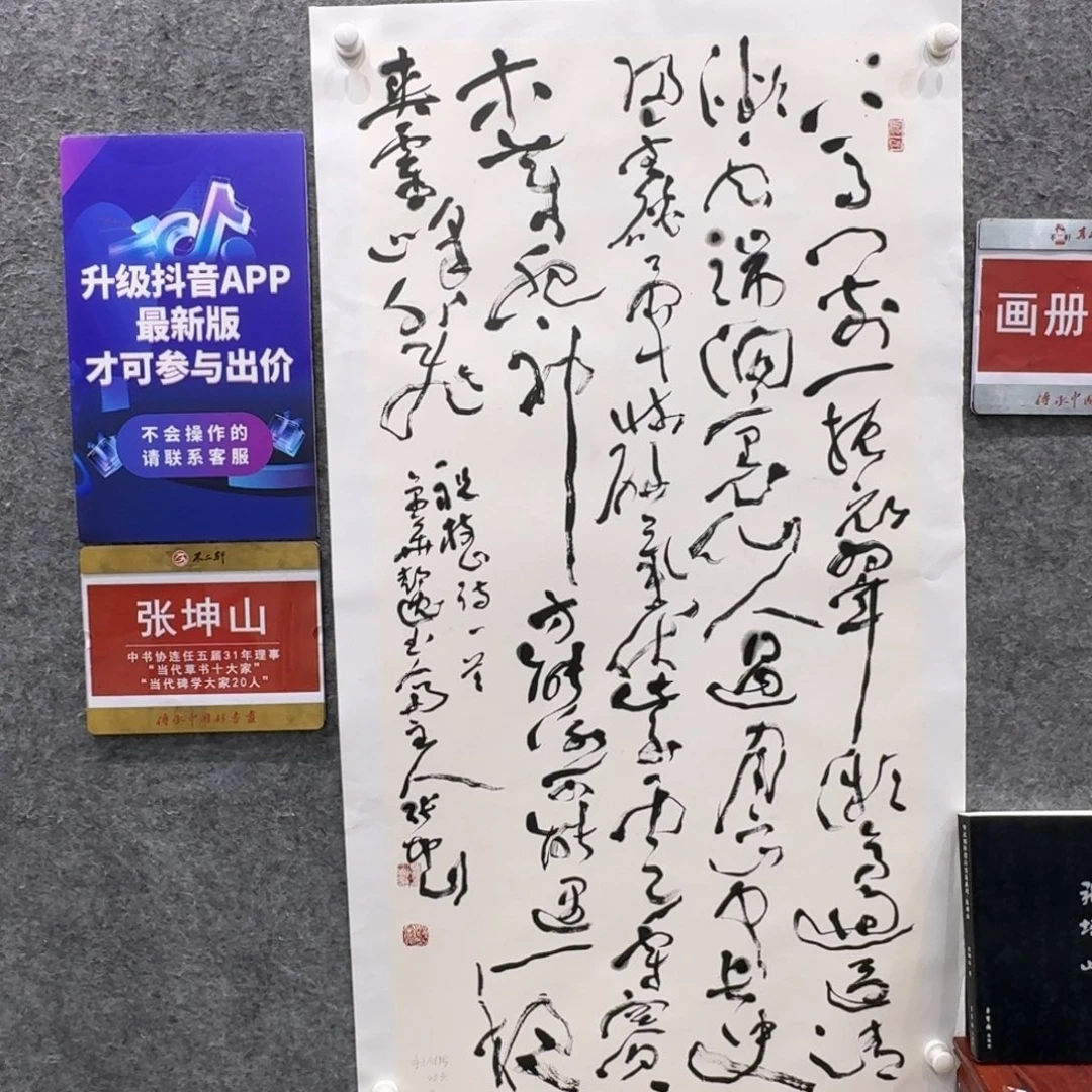 书法书法ZKS老师作品