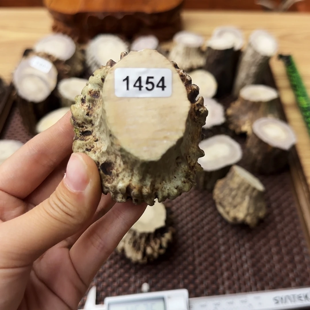 鹿骨手串/手链1454角帽