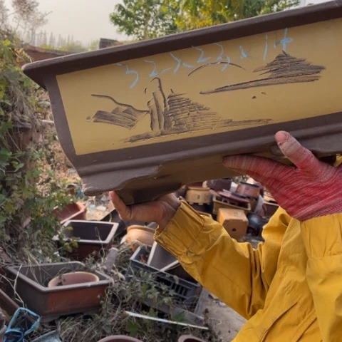 花盆紫砂特价包邮送