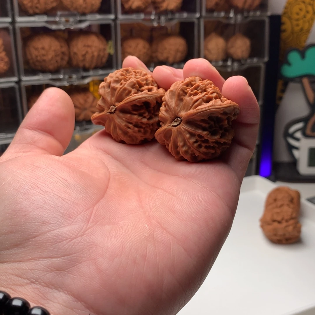 趙***生桃核吊坠宫灯6666888