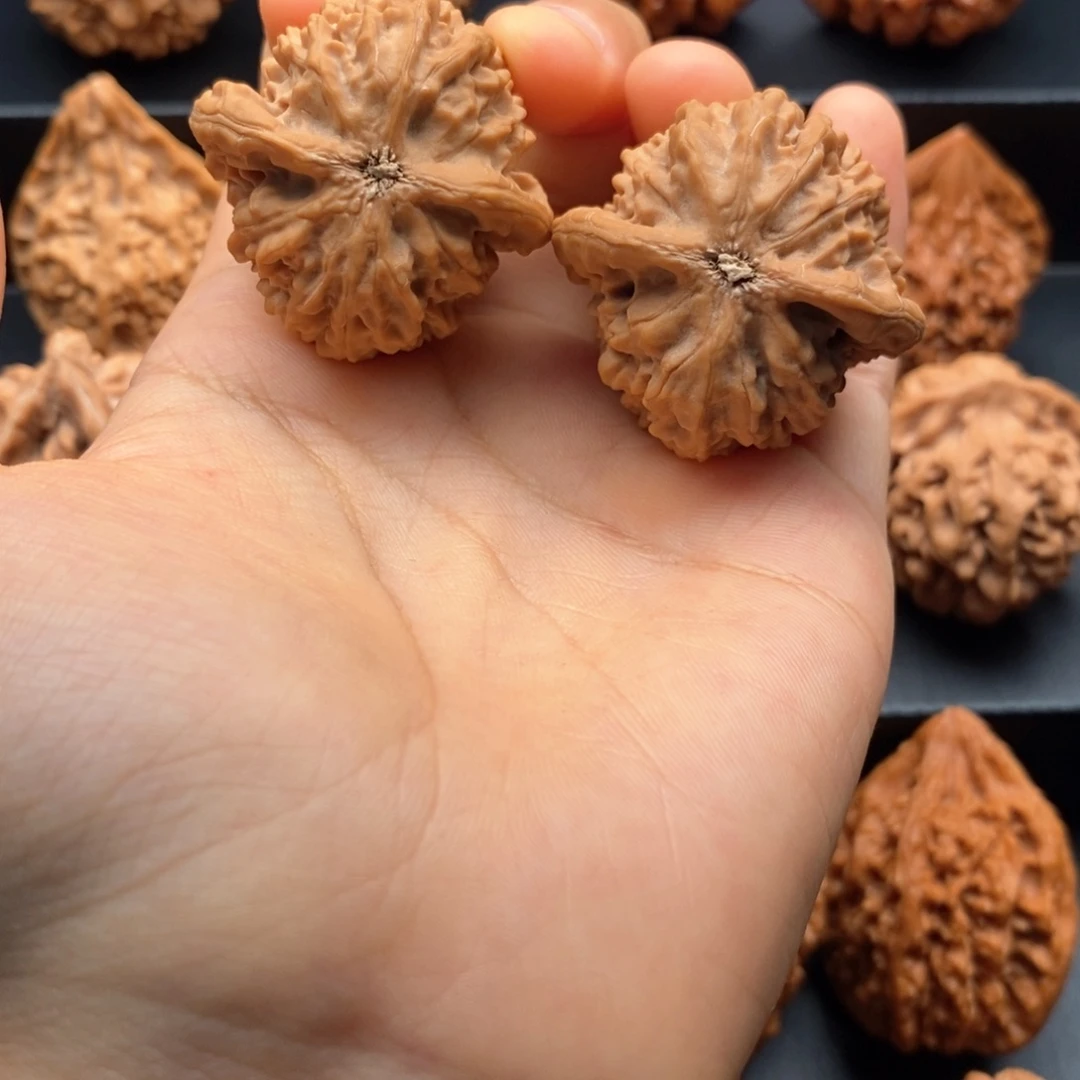 把件文玩核桃故*秦岭文玩核桃