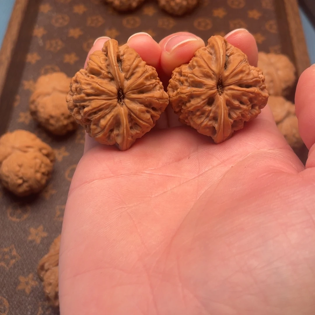 i*龙洞裕37全品尺寸，