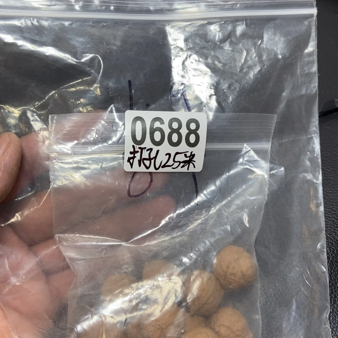 文玩核桃吊坠斯***记秋子