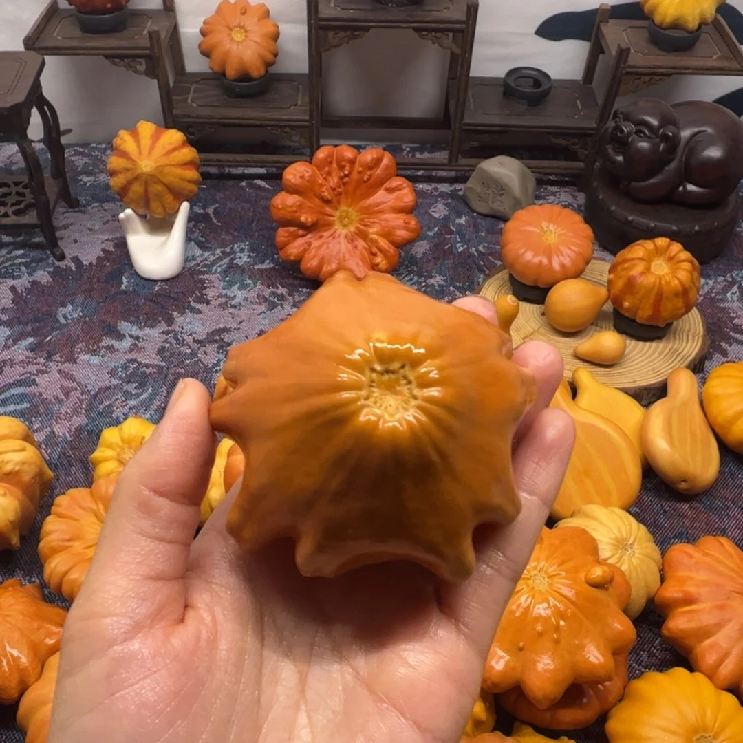 墨西哥葫芦红海星