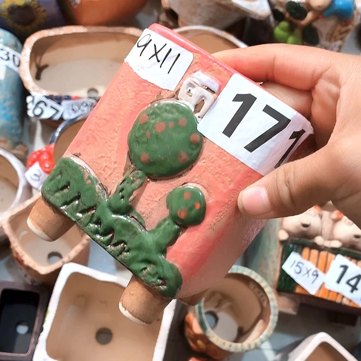 多肉花盆满15包邮