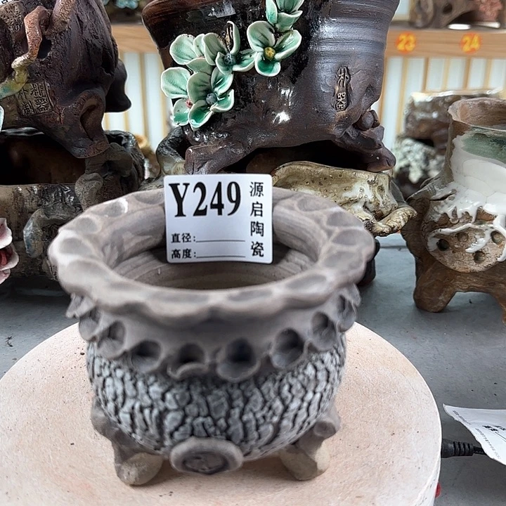 紫砂花盆景德镇陶瓷多肉249