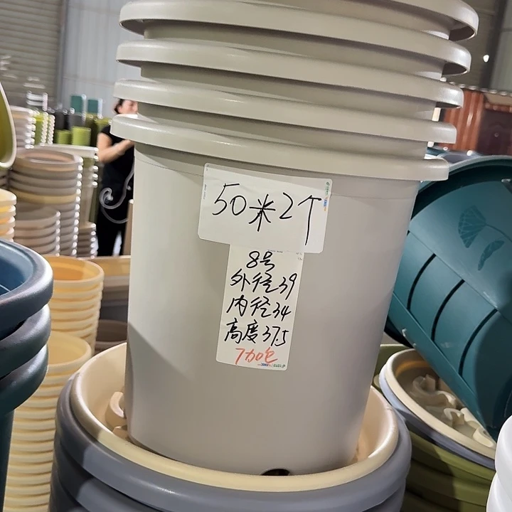 微瑕8#灰白5个无托