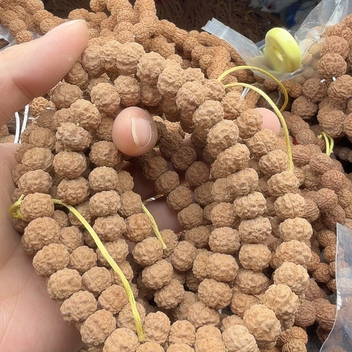 A***农金刚菩提吊坠树魔