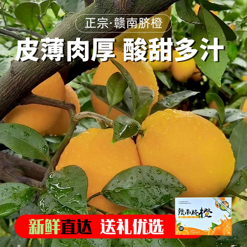 江西赣南脐橙新鲜现摘当季水果香甜爆汁富含VC（果儿）