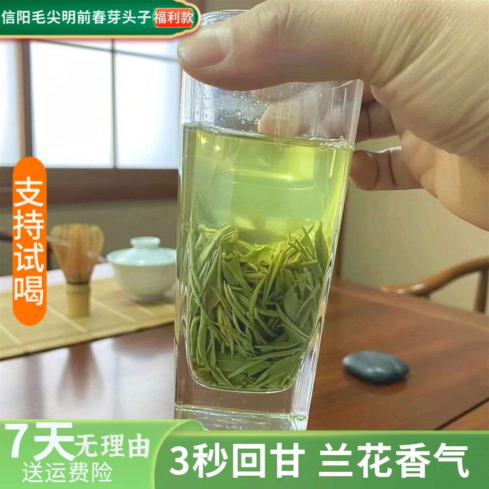新茶支持试喝2025信阳毛尖绿茶口粮茶三秒回甘鲜爽耐泡板兰花香味