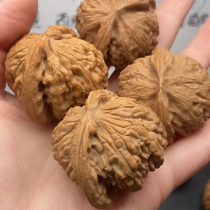 天***9大大大大大大狮子宫灯