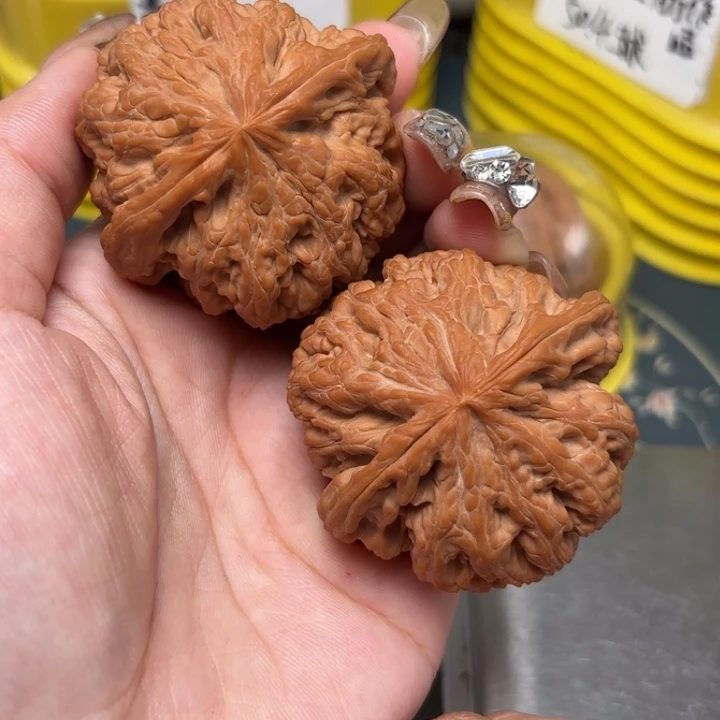 H***Y柏香籽/百香籽把件50-33031-02