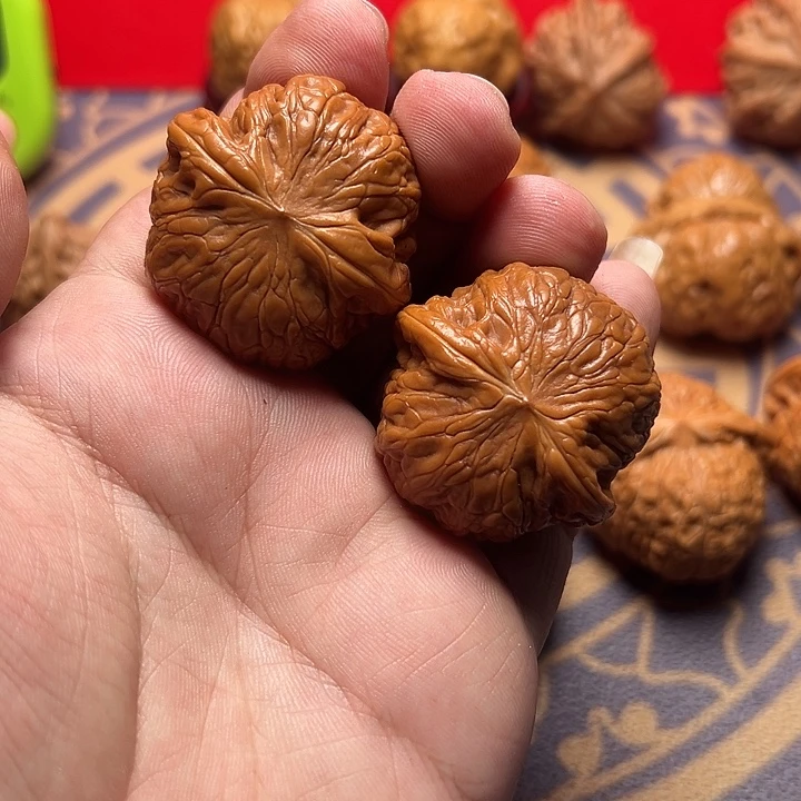 核桃08号 铁锤妹妹 38尺