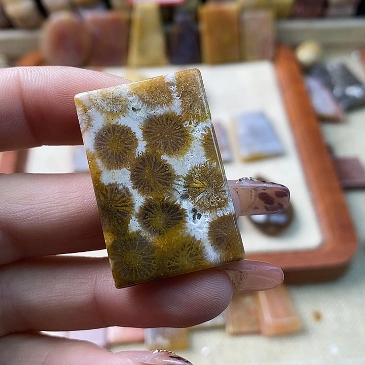 硅化珊瑚（珊瑚玉）未镶嵌颈饰